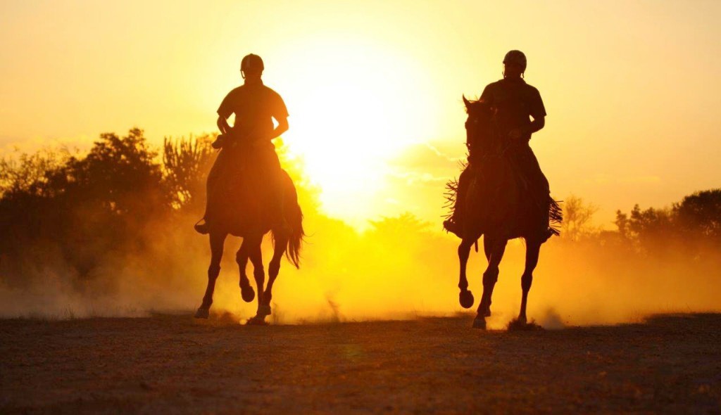 The Waterberg | LAT.40