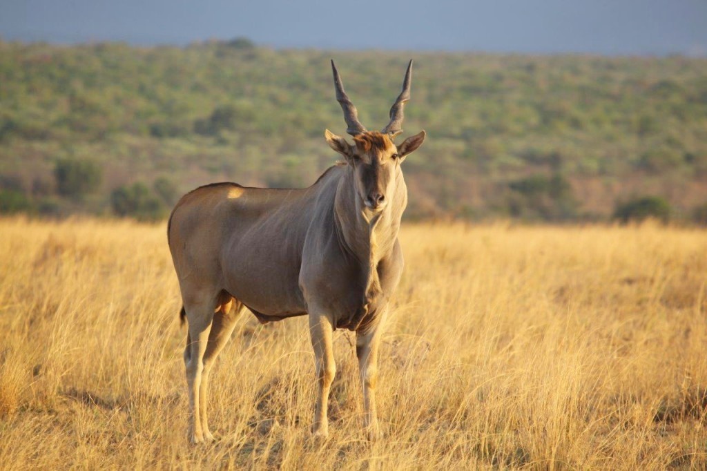 The Waterberg | LAT.40