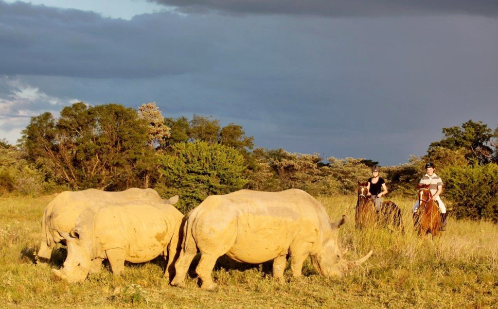 The Waterberg | LAT.40