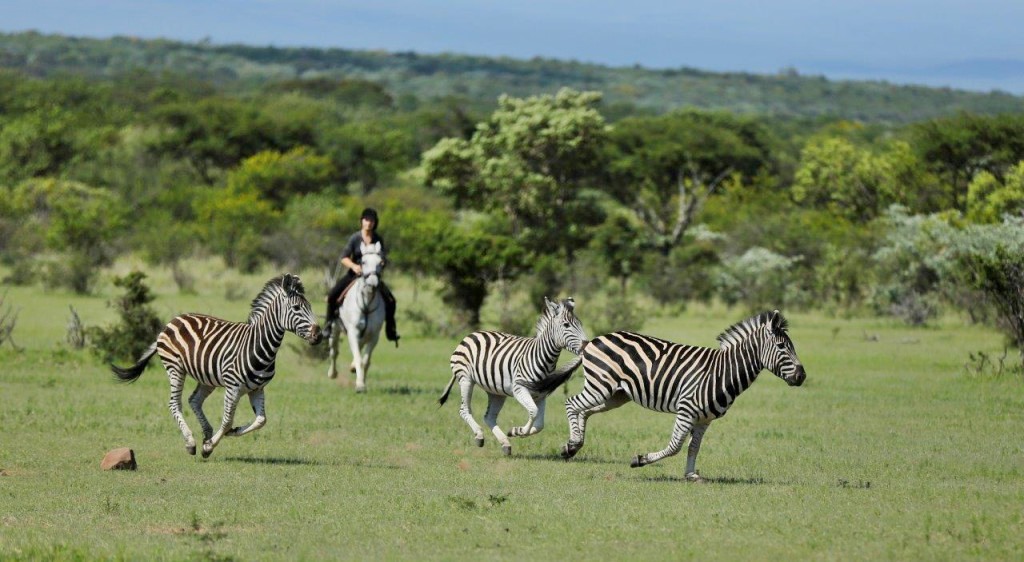 The Waterberg | LAT.40