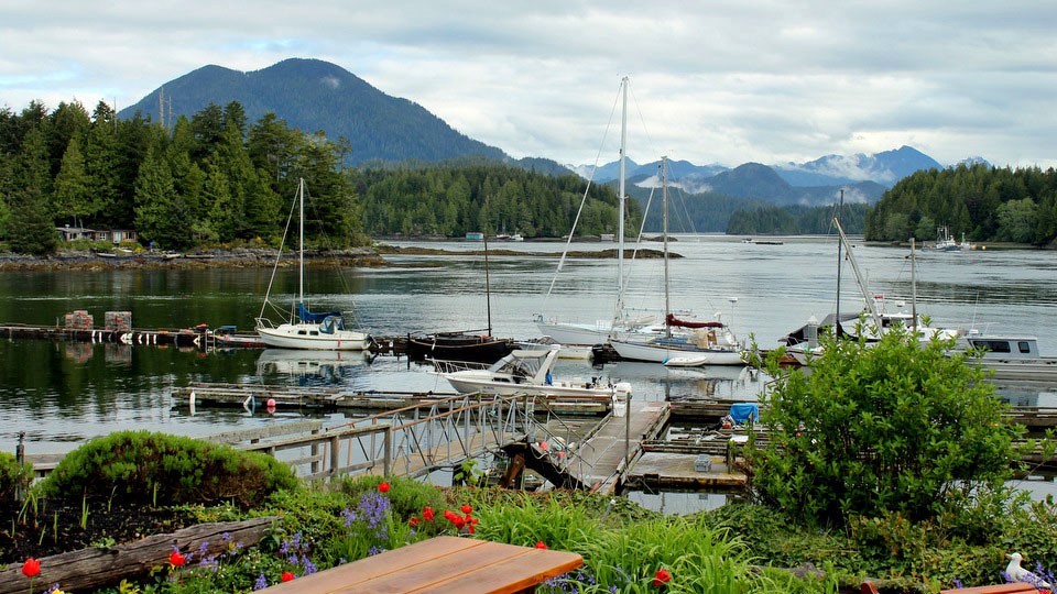 Tofino | LAT.40