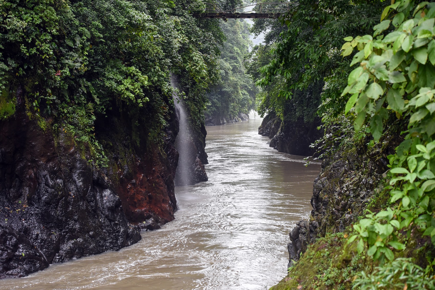 Tortuguero | LAT.40
