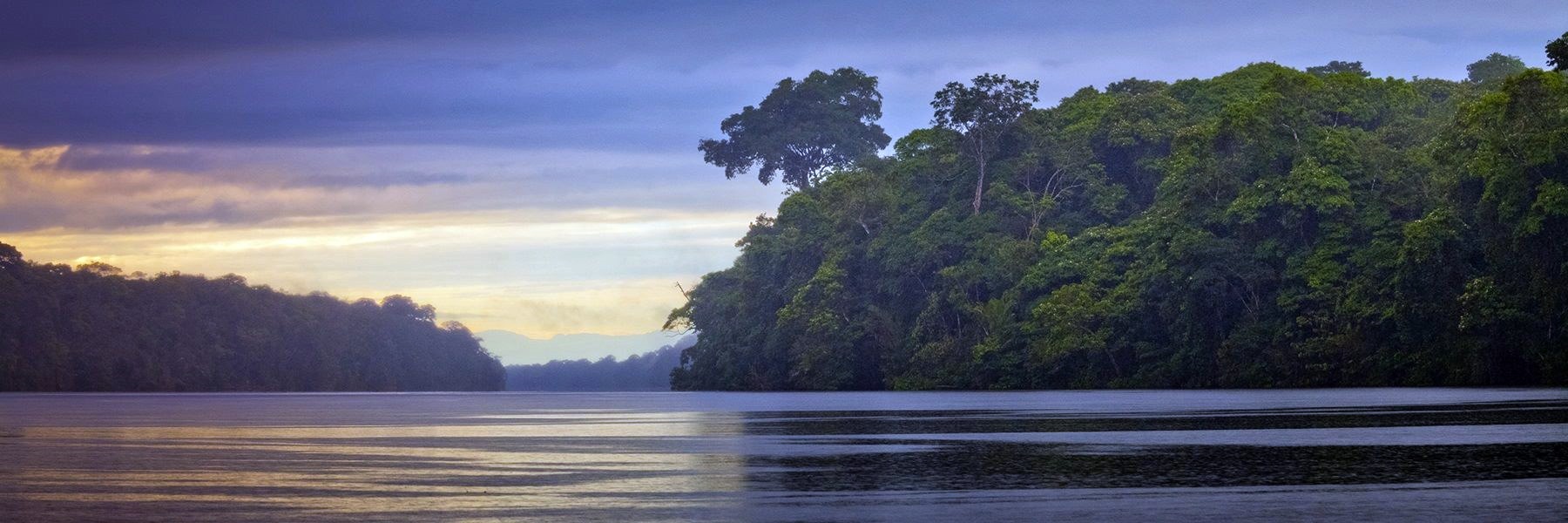 Tortuguero | LAT.40