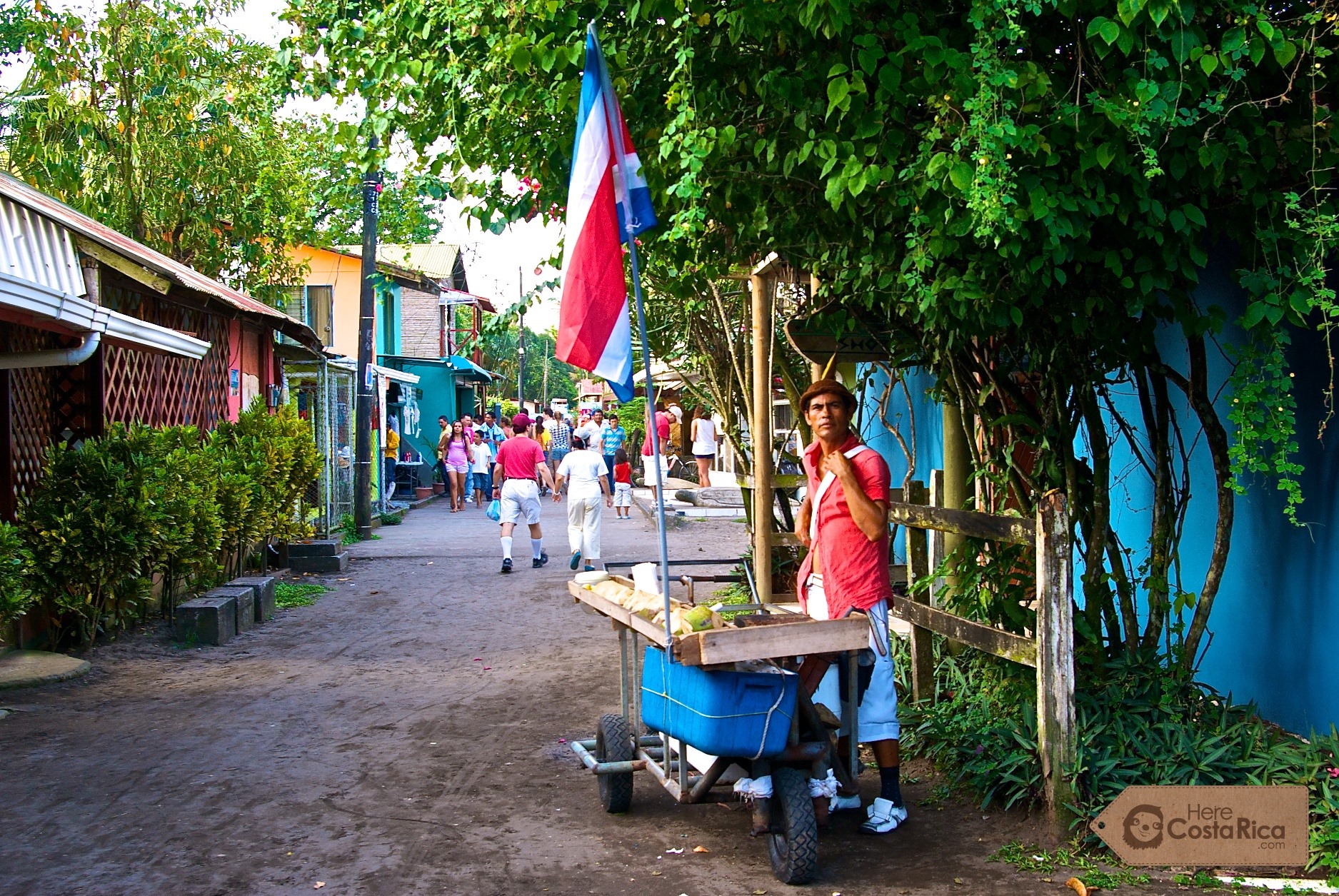 Tortuguero | LAT.40