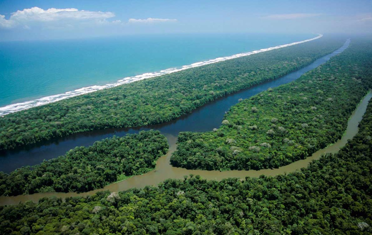 Tortuguero | LAT.40