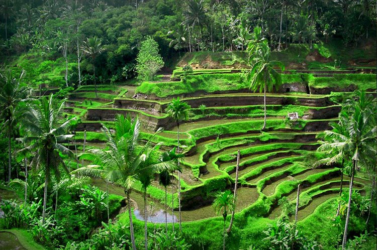 Imagen de viaje LAT.40