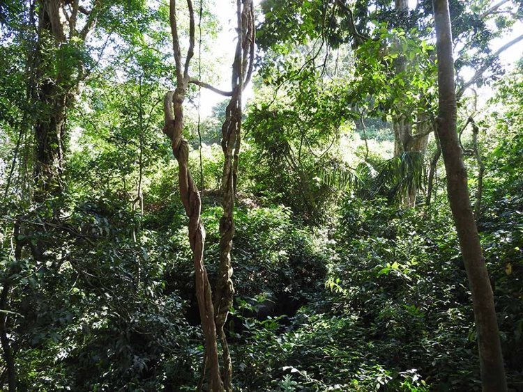 Imagen de viaje LAT.40
