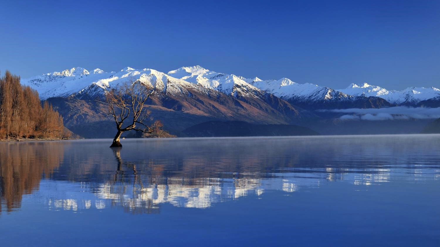 Wanaka | LAT.40