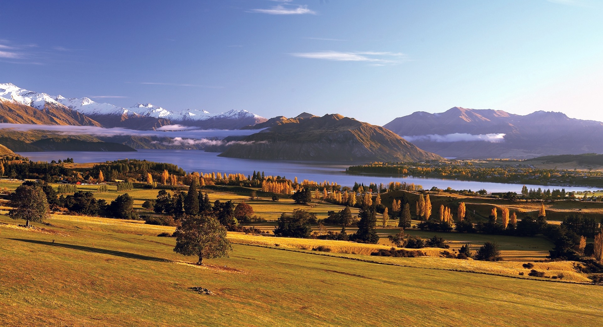 Wanaka | LAT.40