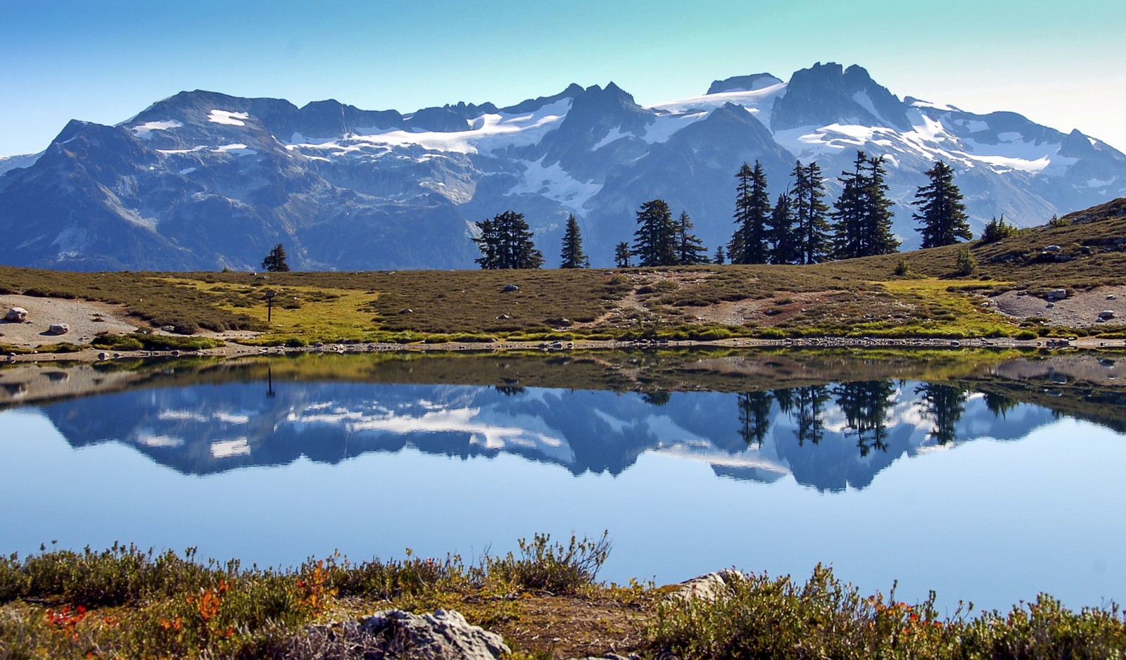 Whistler | LAT.40