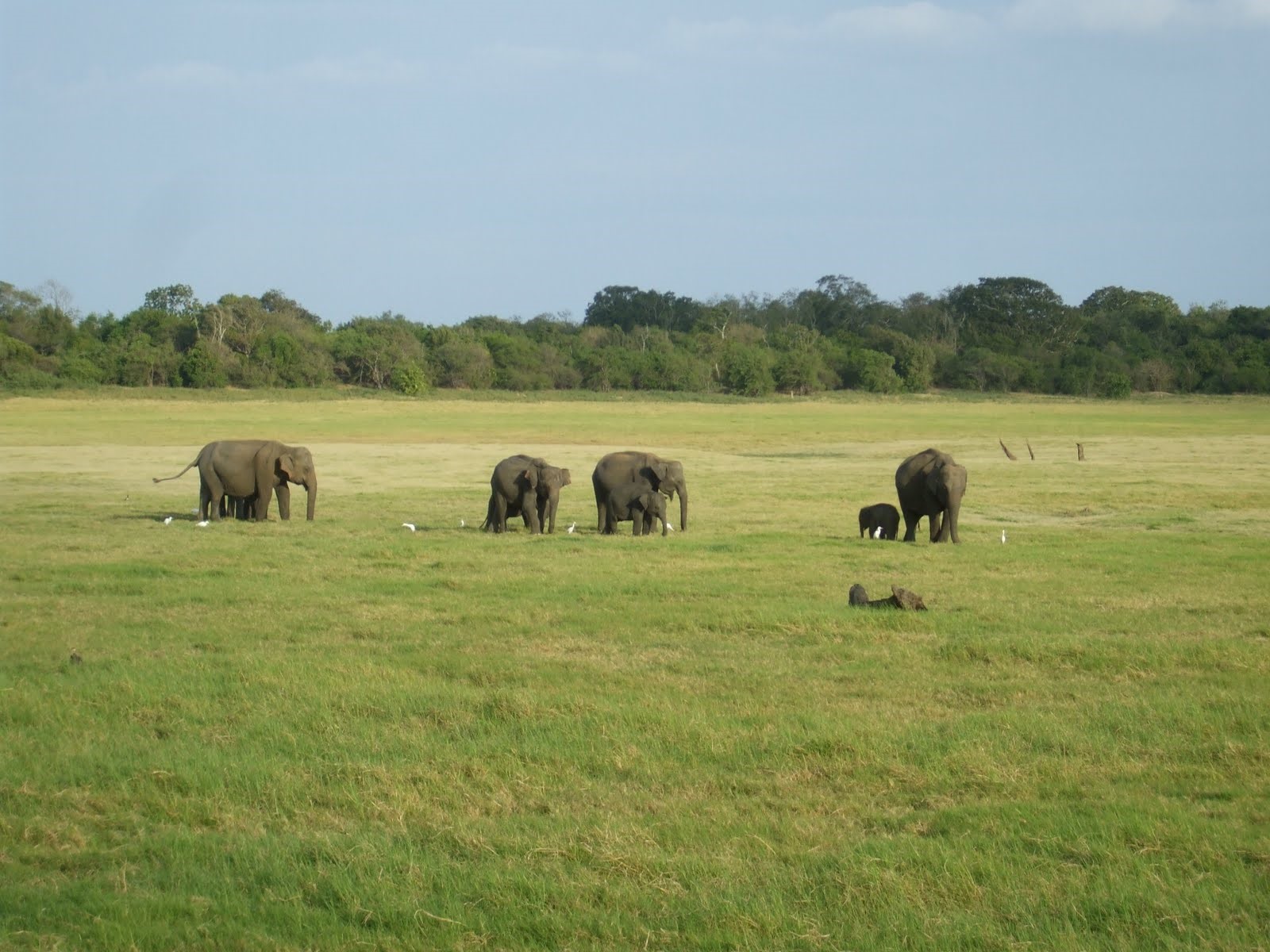 Wilpattu National Park | LAT.40