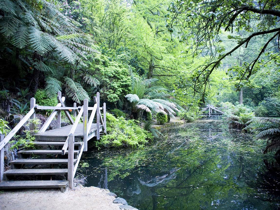 Yarra Ranges | LAT.40