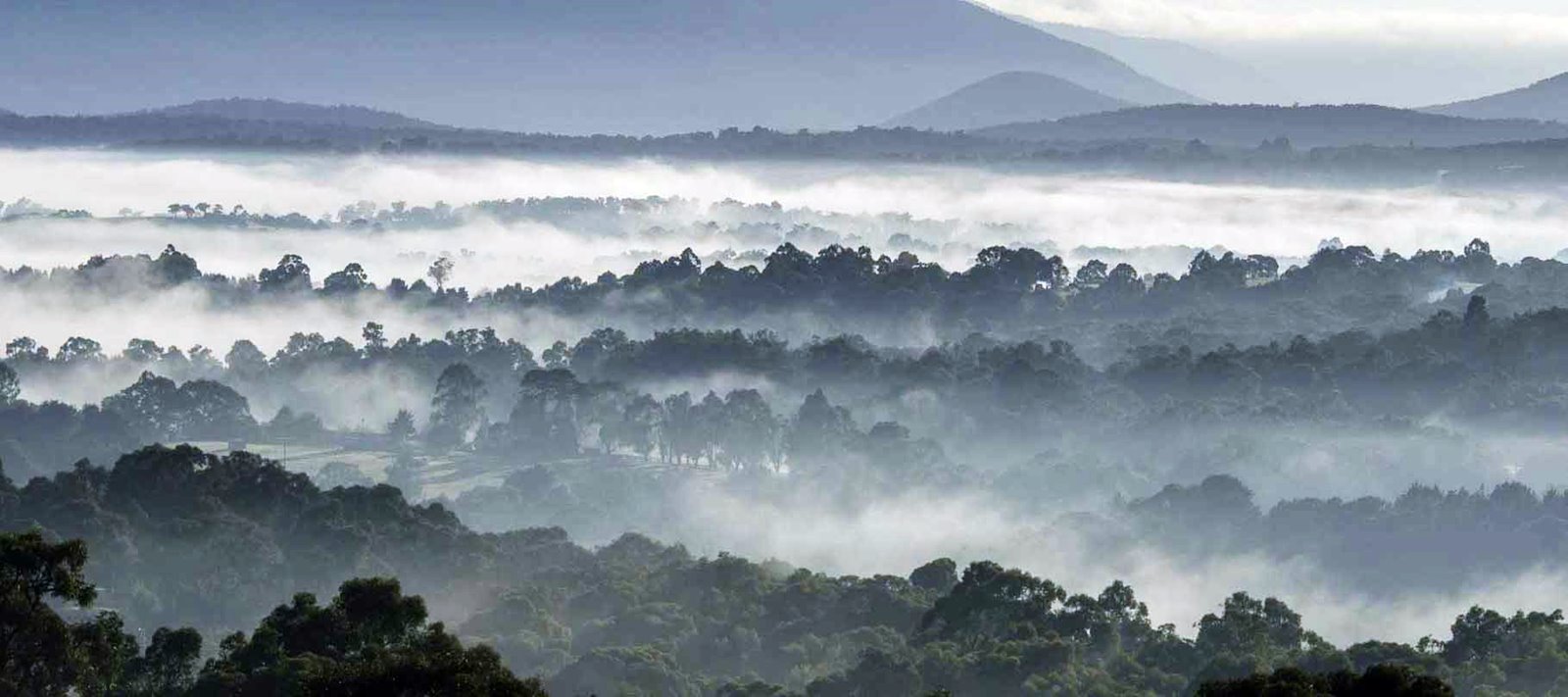 Yarra Ranges | LAT.40