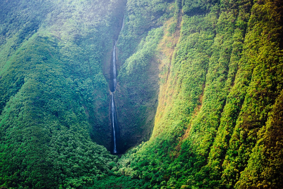 Big Island  | LAT.40