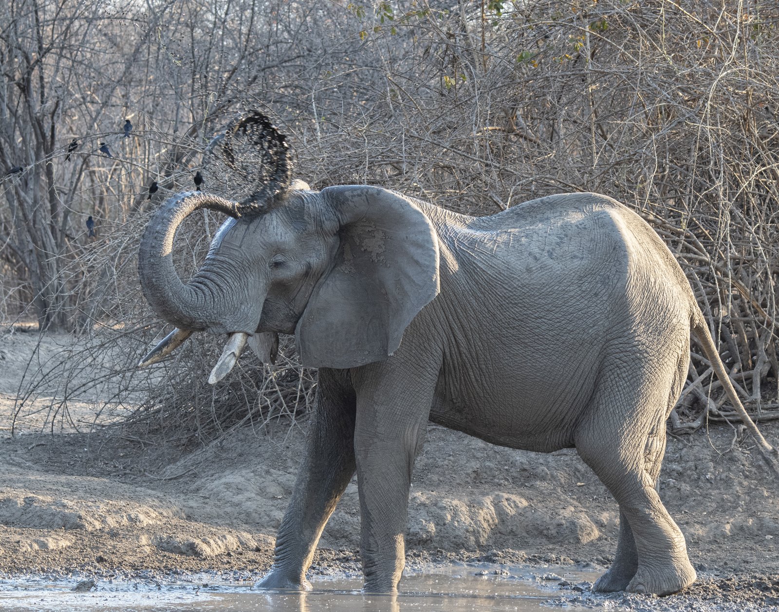 Imagen de viaje LAT.40