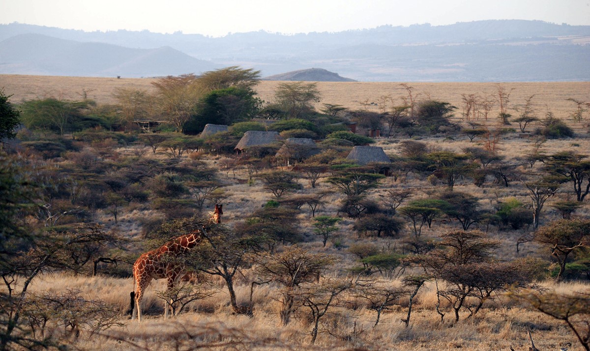 Laikipia  | LAT.40