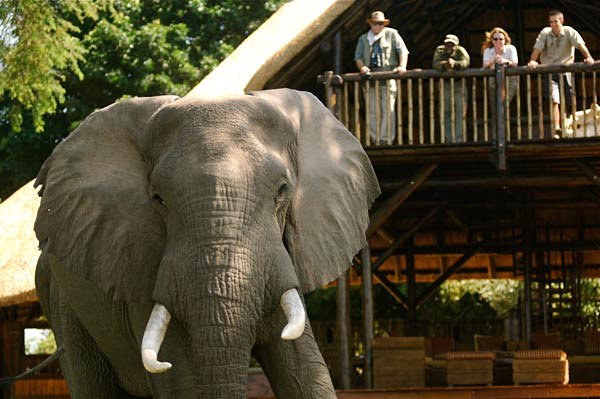 Chiawa Camp en Lower Zambezi
