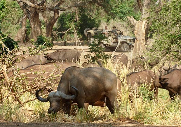 Chiawa Camp en Lower Zambezi