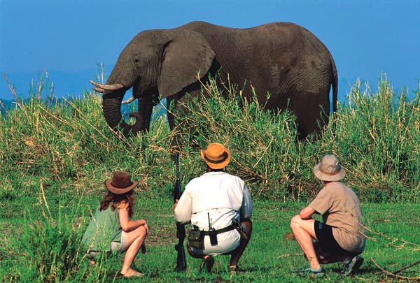 Chiawa Camp en Lower Zambezi
