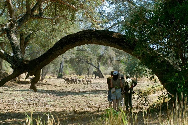 Chiawa Camp en Lower Zambezi