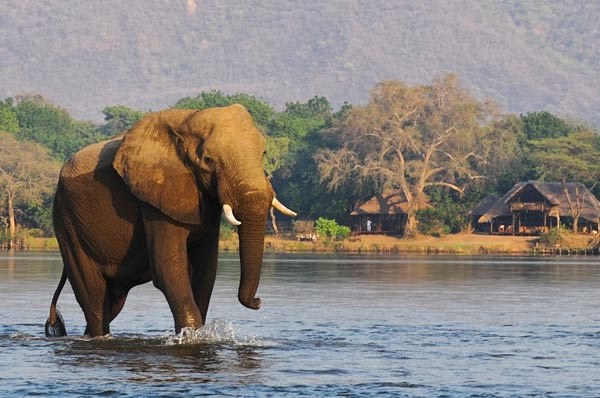 Chiawa Camp en Lower Zambezi
