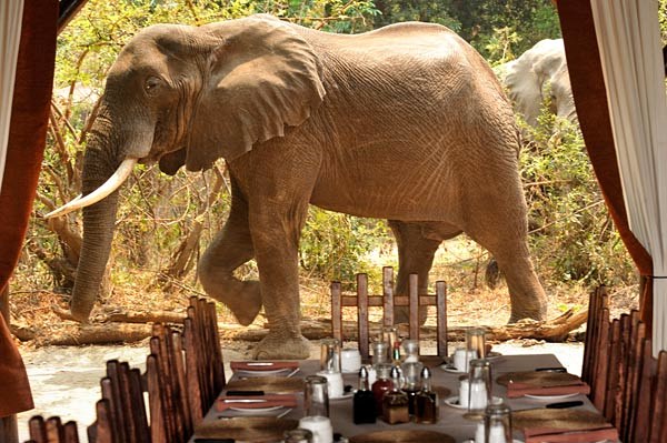 Chiawa Camp en Lower Zambezi