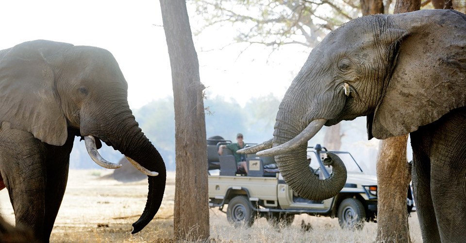 Chiawa Camp en Lower Zambezi