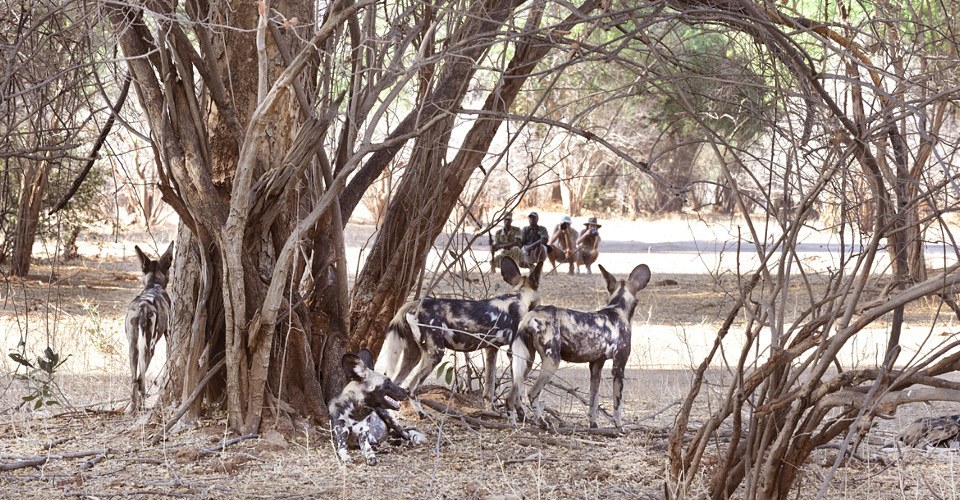 Chiawa Camp en Lower Zambezi
