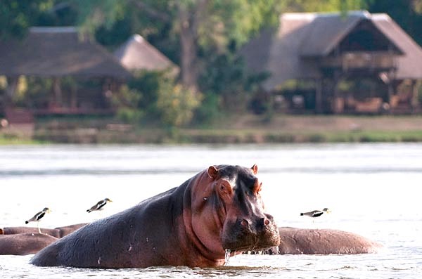 Chiawa Camp en Lower Zambezi