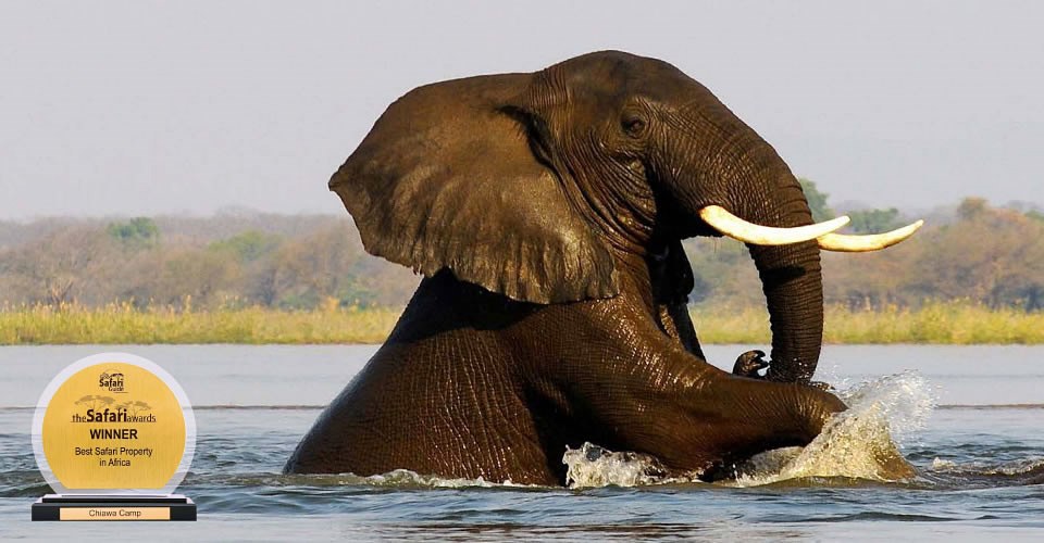 Chiawa Camp en Lower Zambezi
