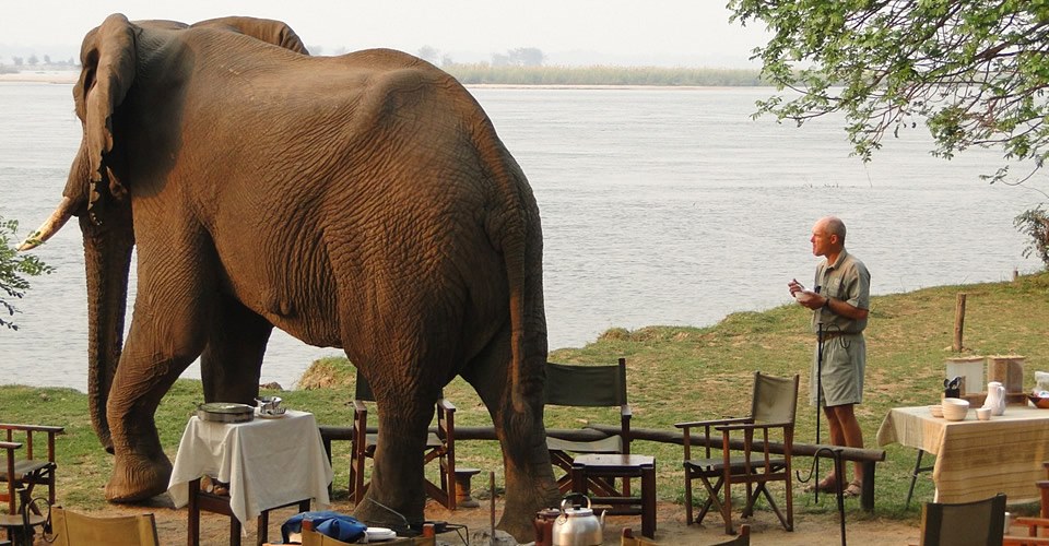 Chiawa Camp en Lower Zambezi