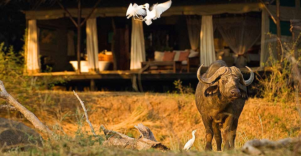 Chiawa Camp en Lower Zambezi