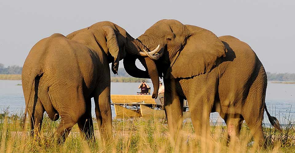 Chiawa Camp en Lower Zambezi