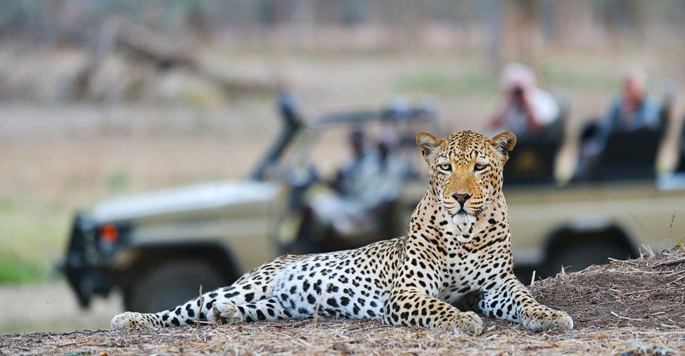Chiawa Camp en Lower Zambezi