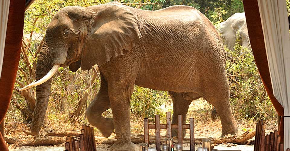 Chiawa Camp en Lower Zambezi