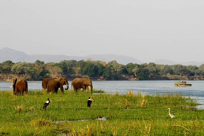 Chiawa Camp en Lower Zambezi