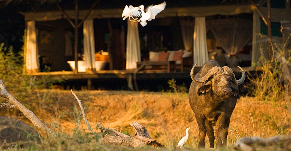 Old Mondoro Bush Camp en Lower Zambezi