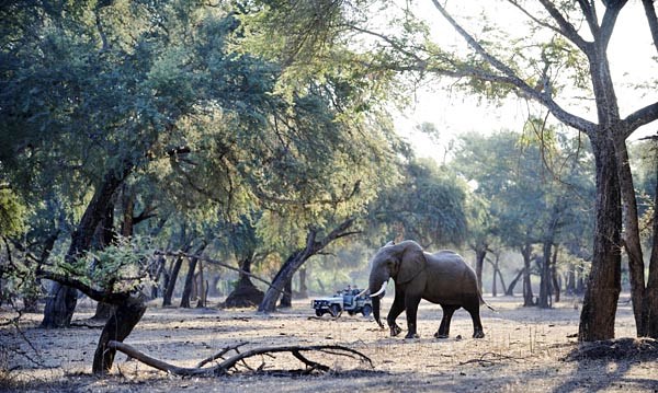 Old Mondoro Bush Camp en Lower Zambezi