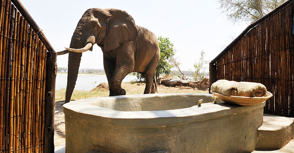 Old Mondoro Bush Camp en Lower Zambezi