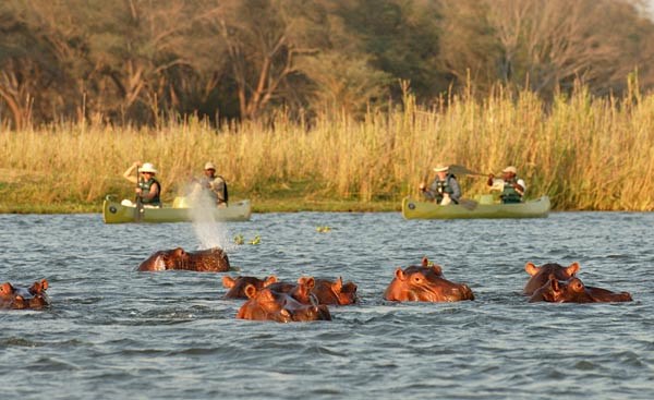 Old Mondoro Bush Camp en Lower Zambezi