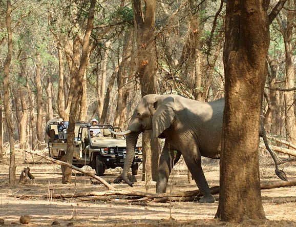 Old Mondoro Bush Camp en Lower Zambezi