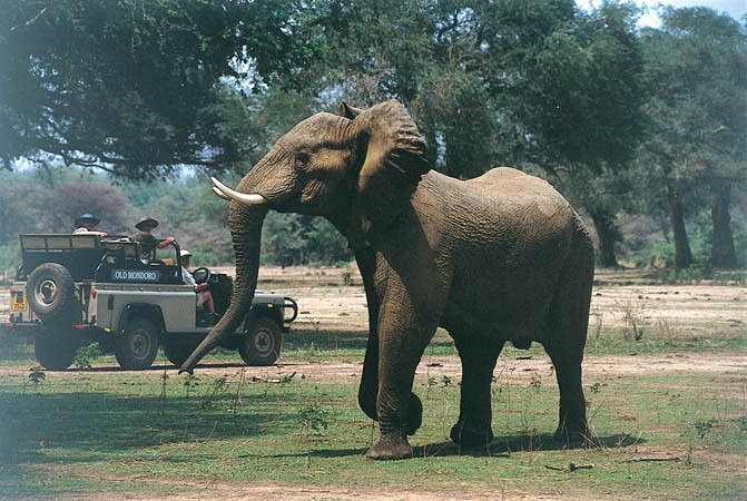 Old Mondoro Bush Camp en Lower Zambezi