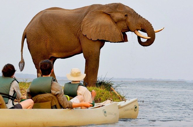 Lower Zambezi