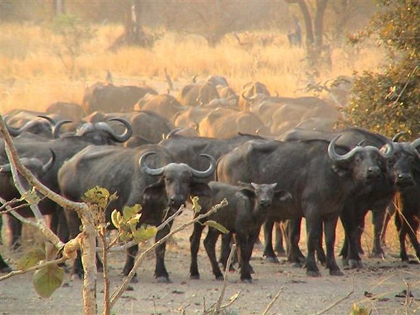 Imagen de viaje LAT.40