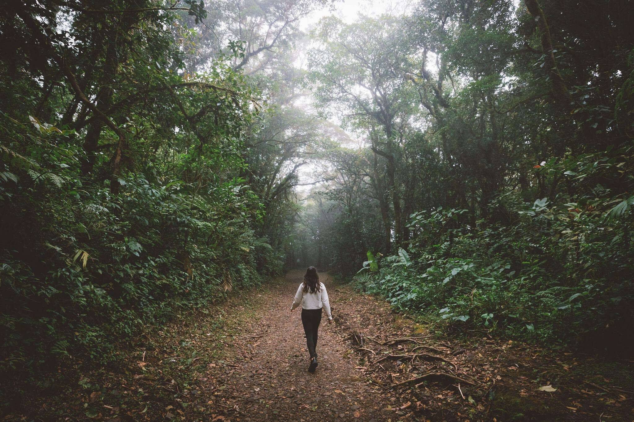Imagen de viaje LAT.40