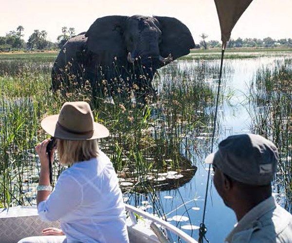 andBeyond Nxabega  en Delta Okavango
