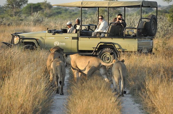 andBeyond Nxabega  en Delta Okavango