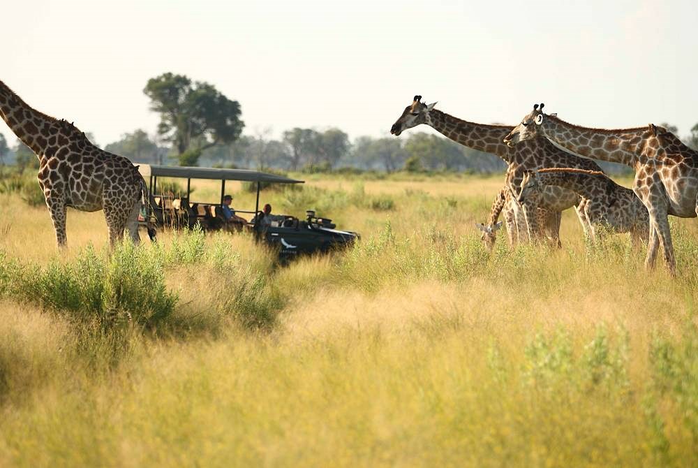 andBeyond Nxabega  en Delta Okavango