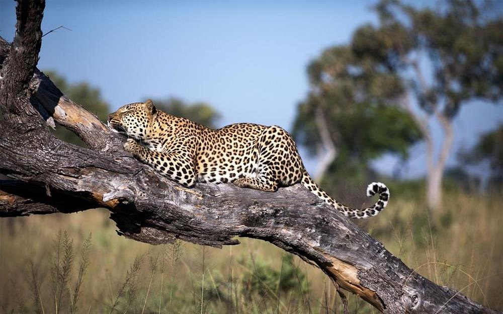 andBeyond Xarana en Delta Okavango