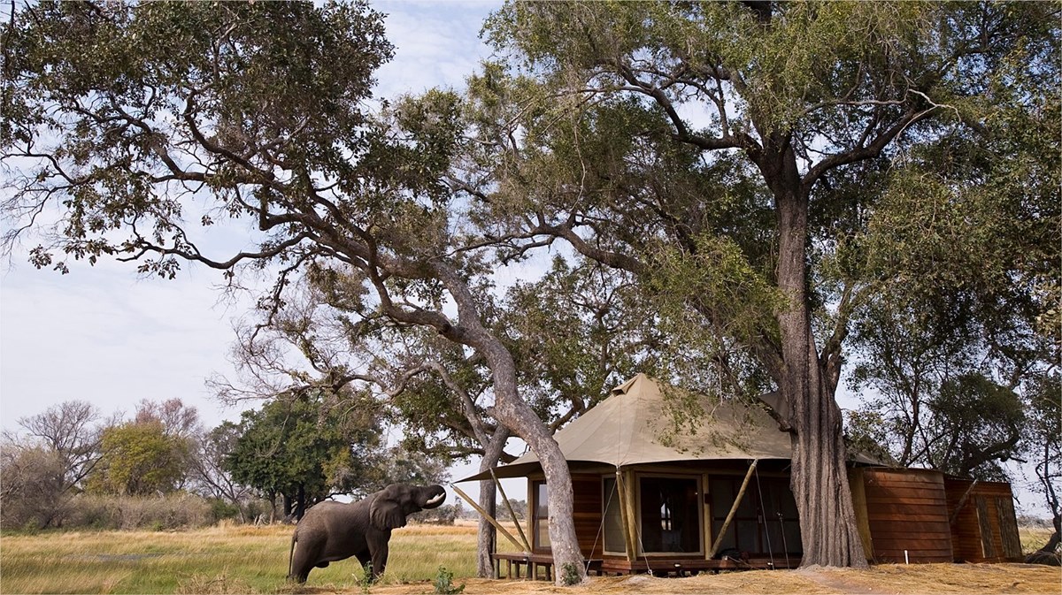 andBeyond Xarana en Delta Okavango